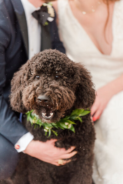 CCV Richmond Wedding N&N Favorites 078