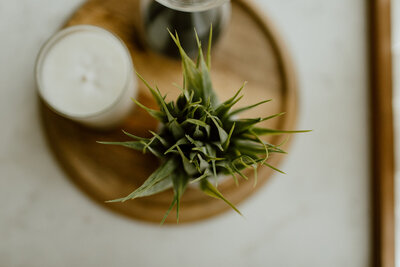 photos by Michaela kessler Photography-222_websize