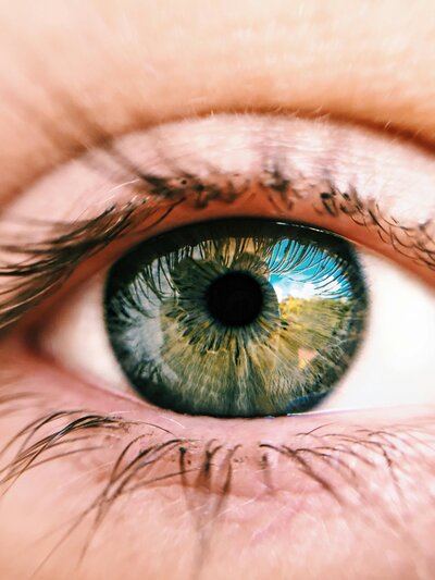 Arizona EMDR therapy Lorain Moorehead