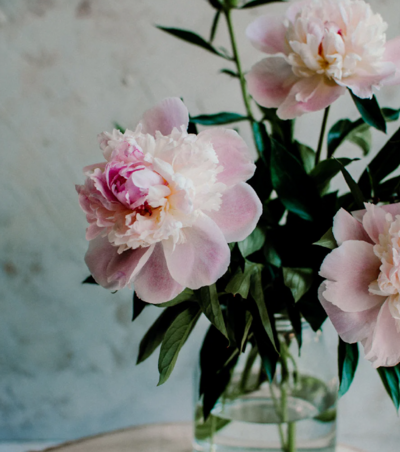MM_floral