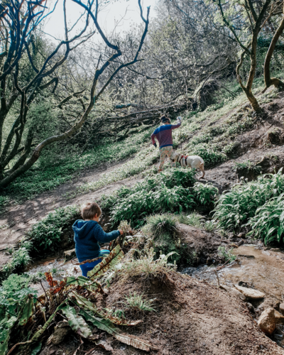 fallback shared on Invalid Date | Two children and their puppy hike in the country