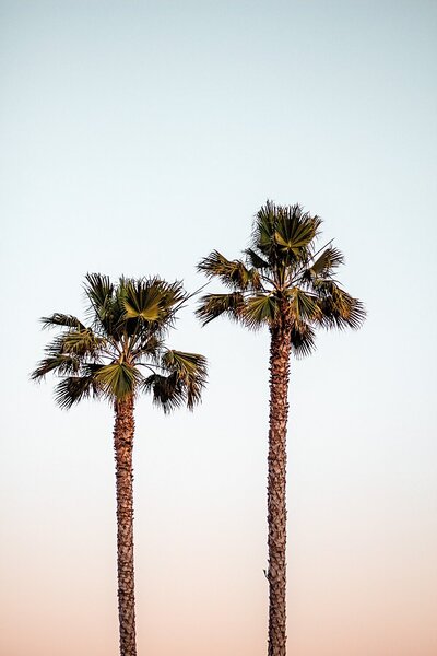 marisol-benitez-PyM_JZA47zI-unsplash