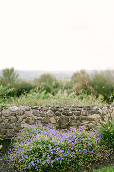 fallback shared on Invalid Date | purple wildflowers along stone wall at indoor/outdoor wedding venue in upstate new york