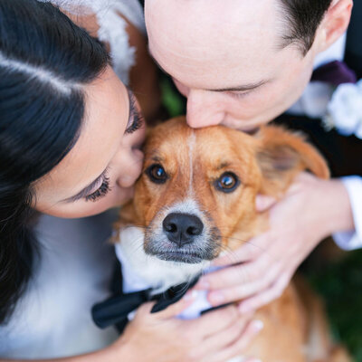 jennifer-forrest-maryland-wedding-martins-crosswinds-jsasuphotography-177