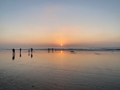 IMG_7337