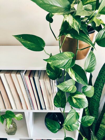 sandra-martins-dETnmtfStYo-unsplash