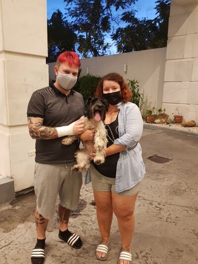Global Pet Relocation, Worldwide Pet Transport (19)