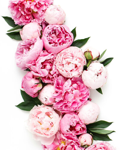 Garden_Social-Squares_Styled-Stock_01331-scaled