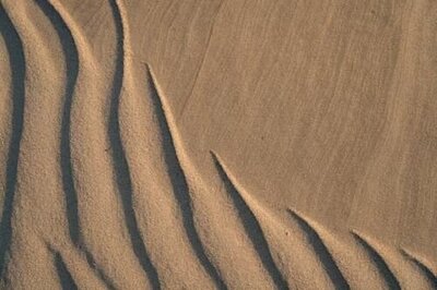 101. Desert