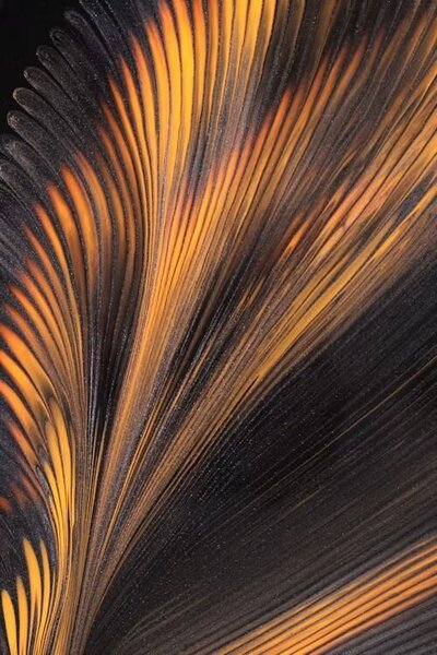 10. Cool Abstract