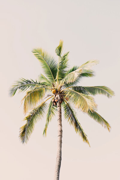amy-humphries-kRVZiYX6hiQ-unsplash