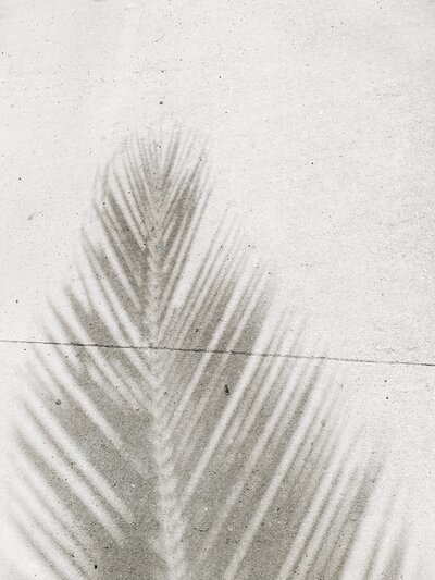 anna-sullivan-zS-d3BP2pXY-unsplash
