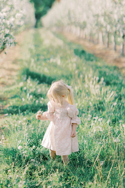 Terri-Lynn Warren Photography Halifax Family Photographer Apple Blossom Spring Mini Sessions Wolfville-5386