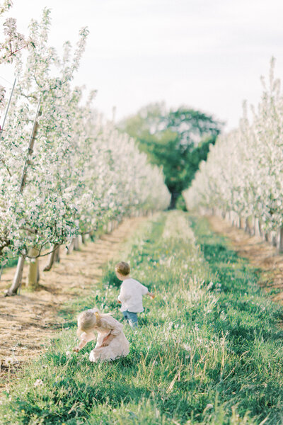 Terri-Lynn Warren Photography Halifax Family Photographer Apple Blossom Spring Mini Sessions Wolfville-5385