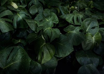 Elevae_0723_07134