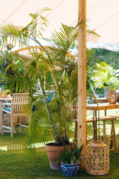 Decor Rentals Bermuda