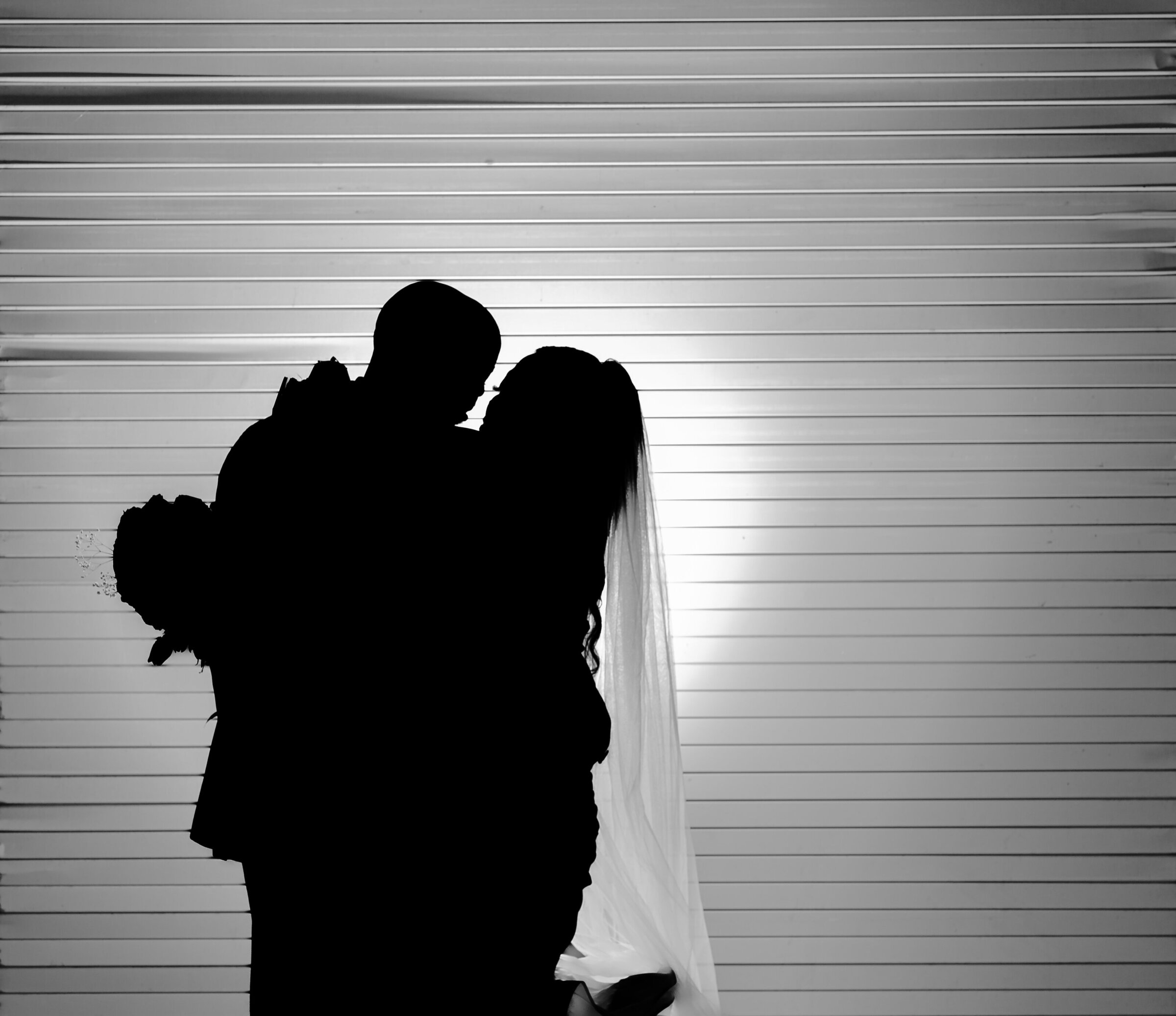 Phonando Studios Chicago Wedding Photographer - Lauren Joey DSC09270