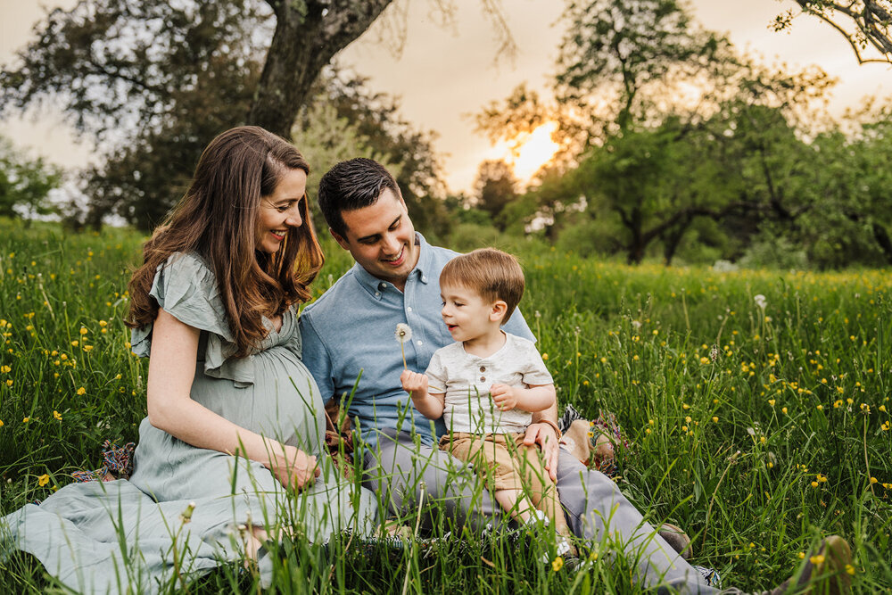 pregnant couple with toddler son pick flowers during boston maternity photoshoot
