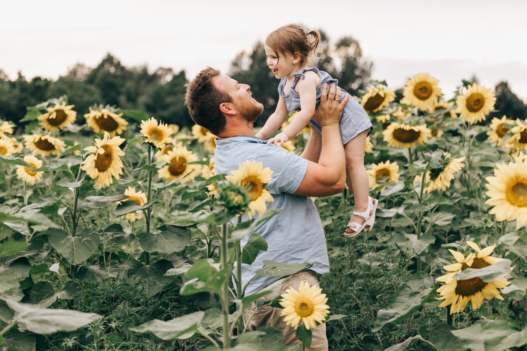 Sunflower Field Family  Photography | London, Ontario :: NovaMarkina