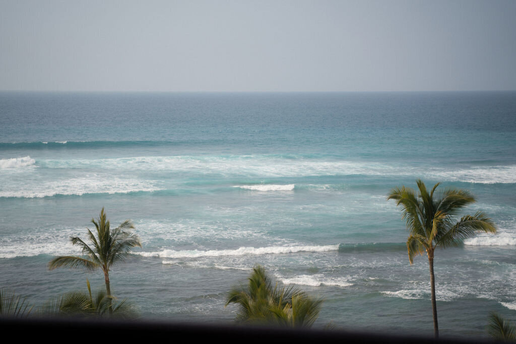 Gallery(10of126)
