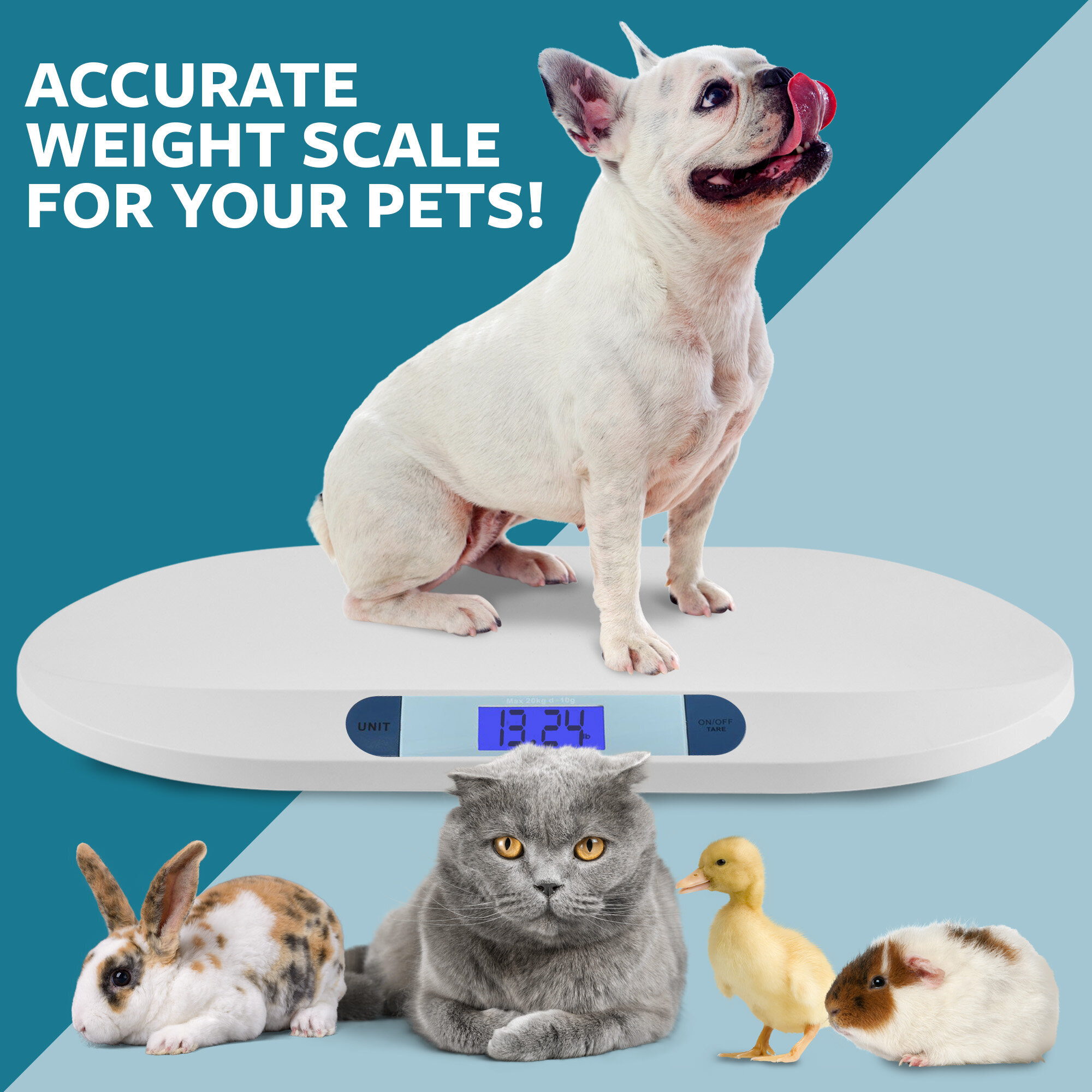 3-SmartWeigh_Digital_Baby_Scale