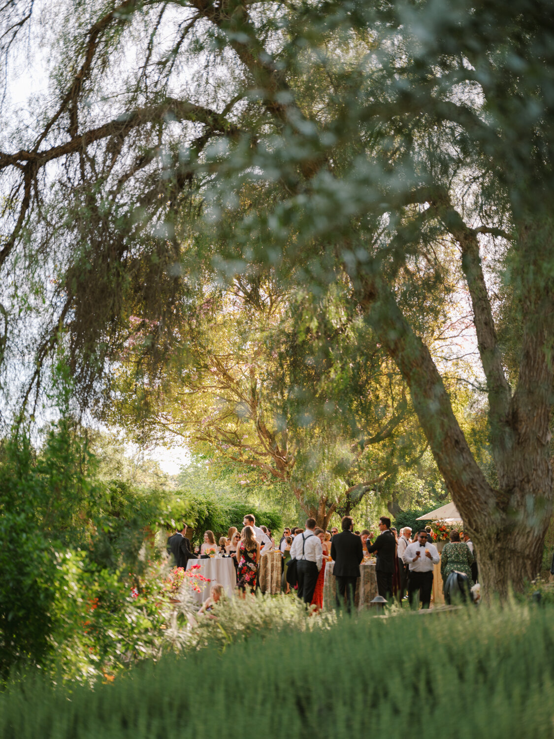 Ojai Valley Inn Wedding - Afrik Armando-78