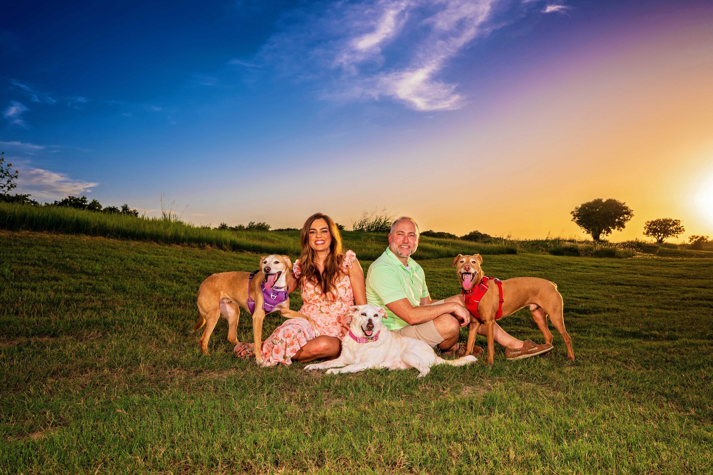family portrait with 3 dogs at sunset