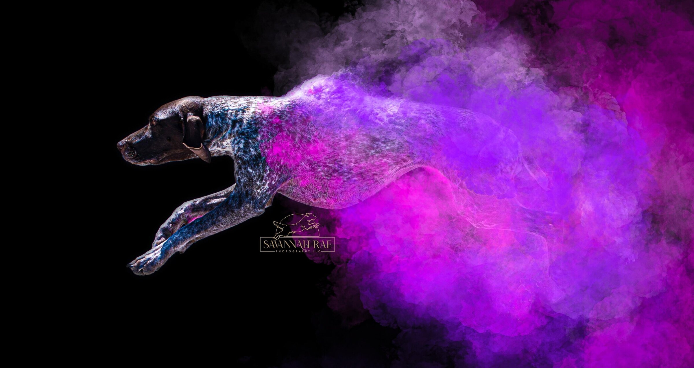 Rockford Powder Palooza-5 Logo