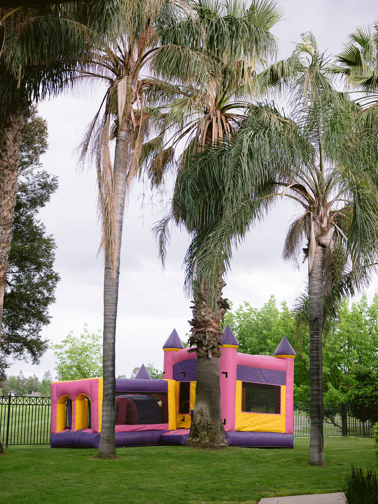 Backyard jumper house with palm trees in front at a birthday party in the San Francisco Bay Area