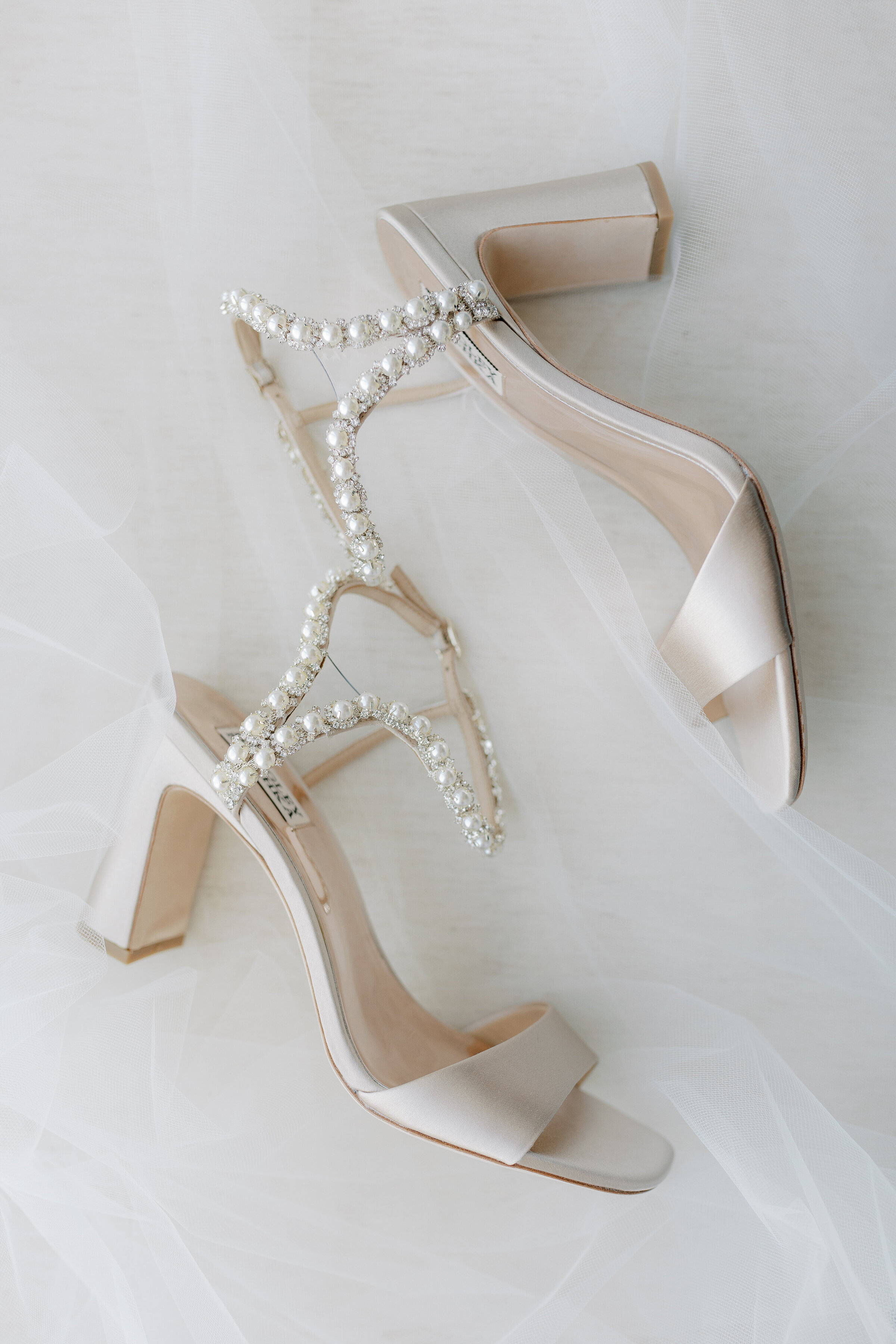 CurtisPohlPreview-13