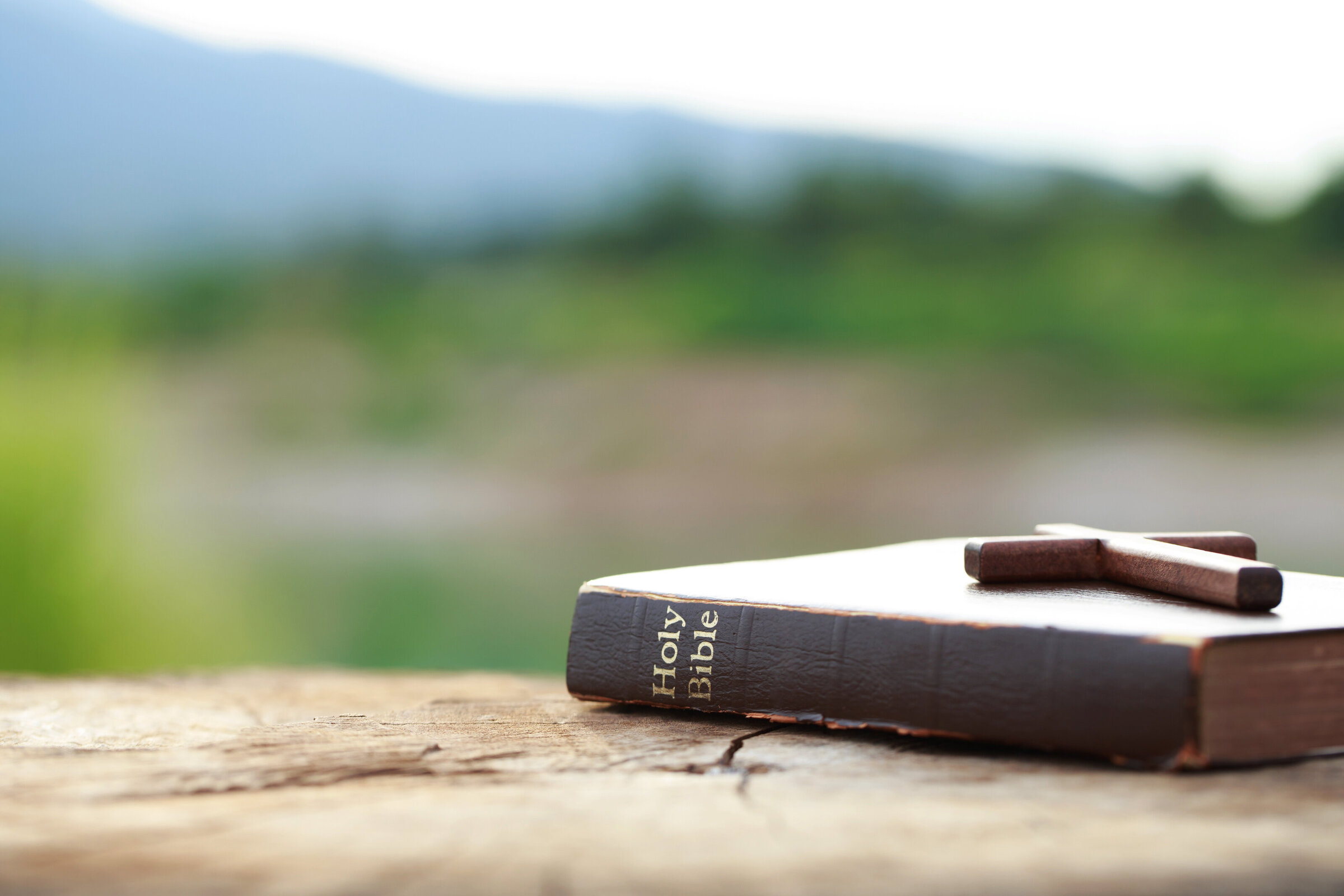 AdobeStock_457663494