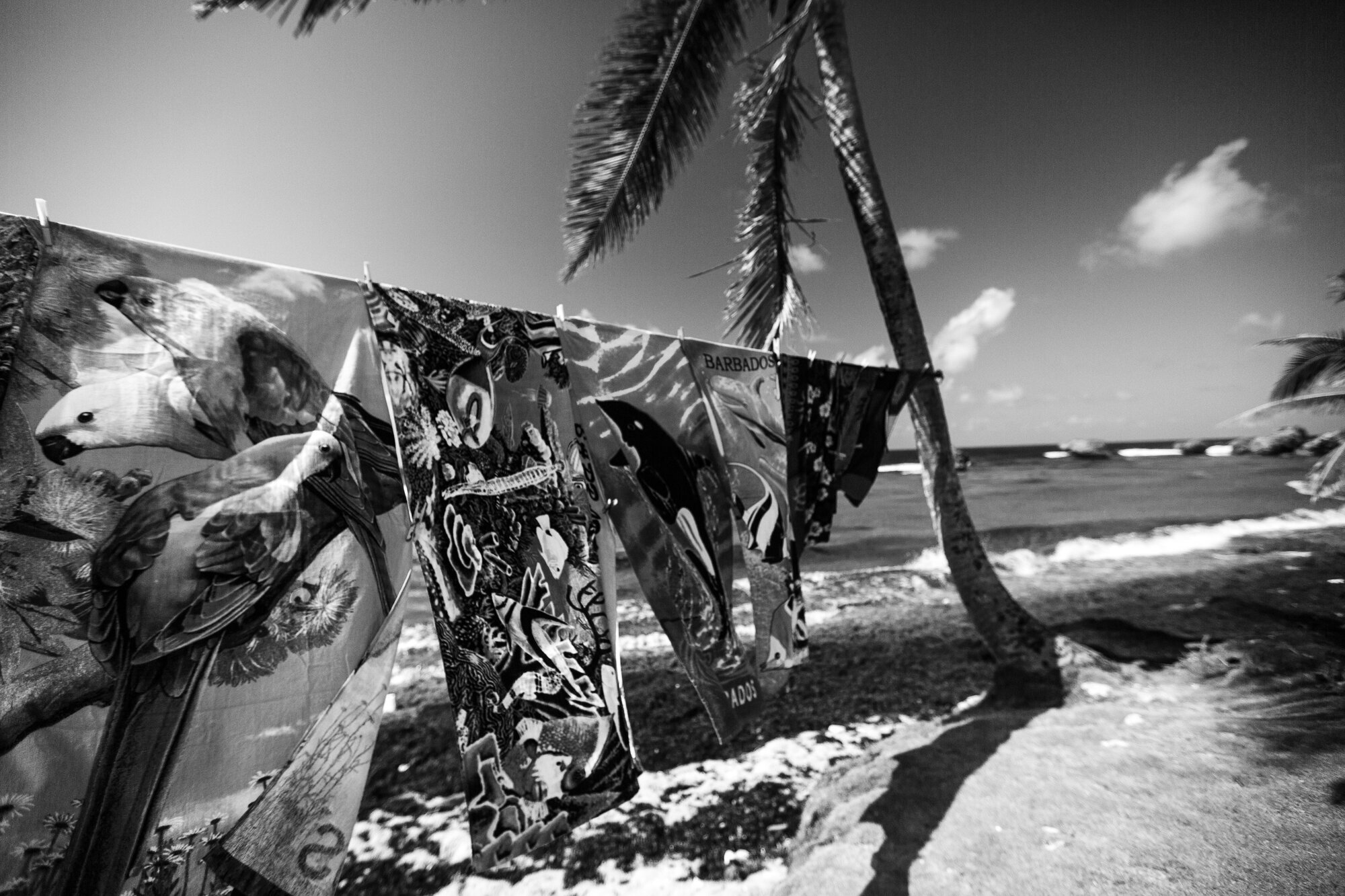 caribbean-103
