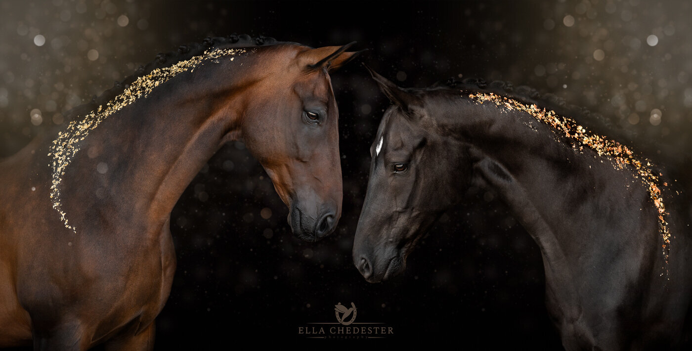 ECP09080-Edit-Edit-Edit