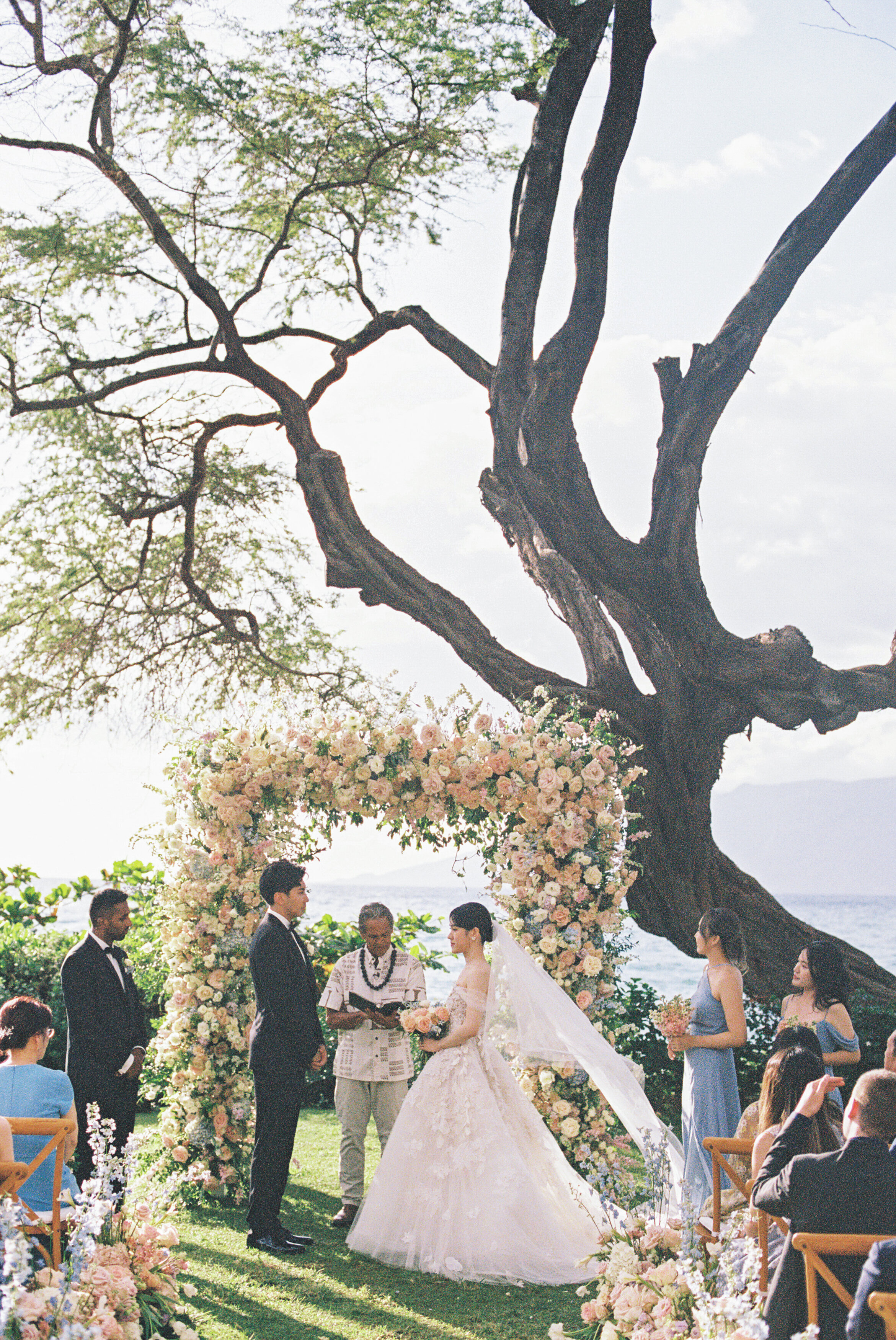 Wedding and Elopement Photographer, bride and groom standing hand in hand under floral arch