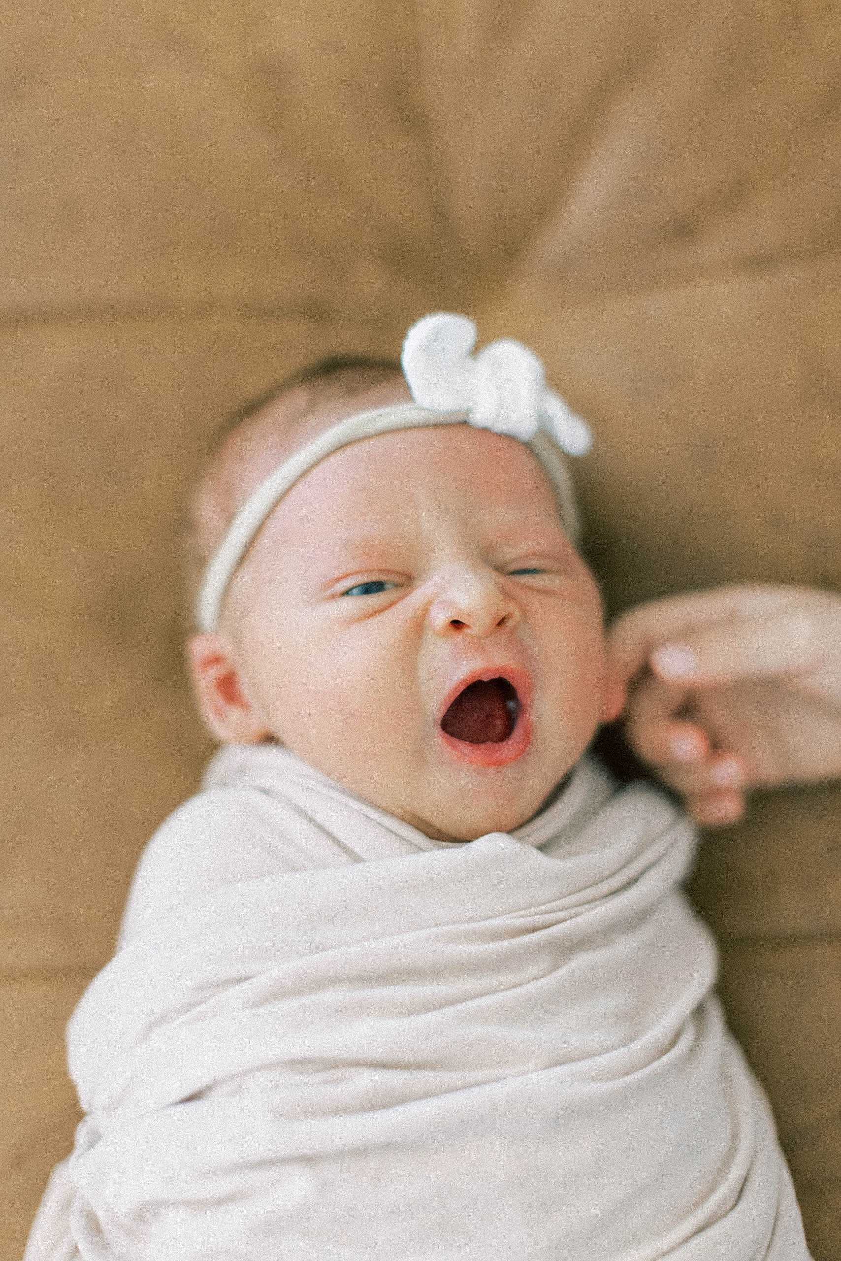 RosenNewbornSession2024-115