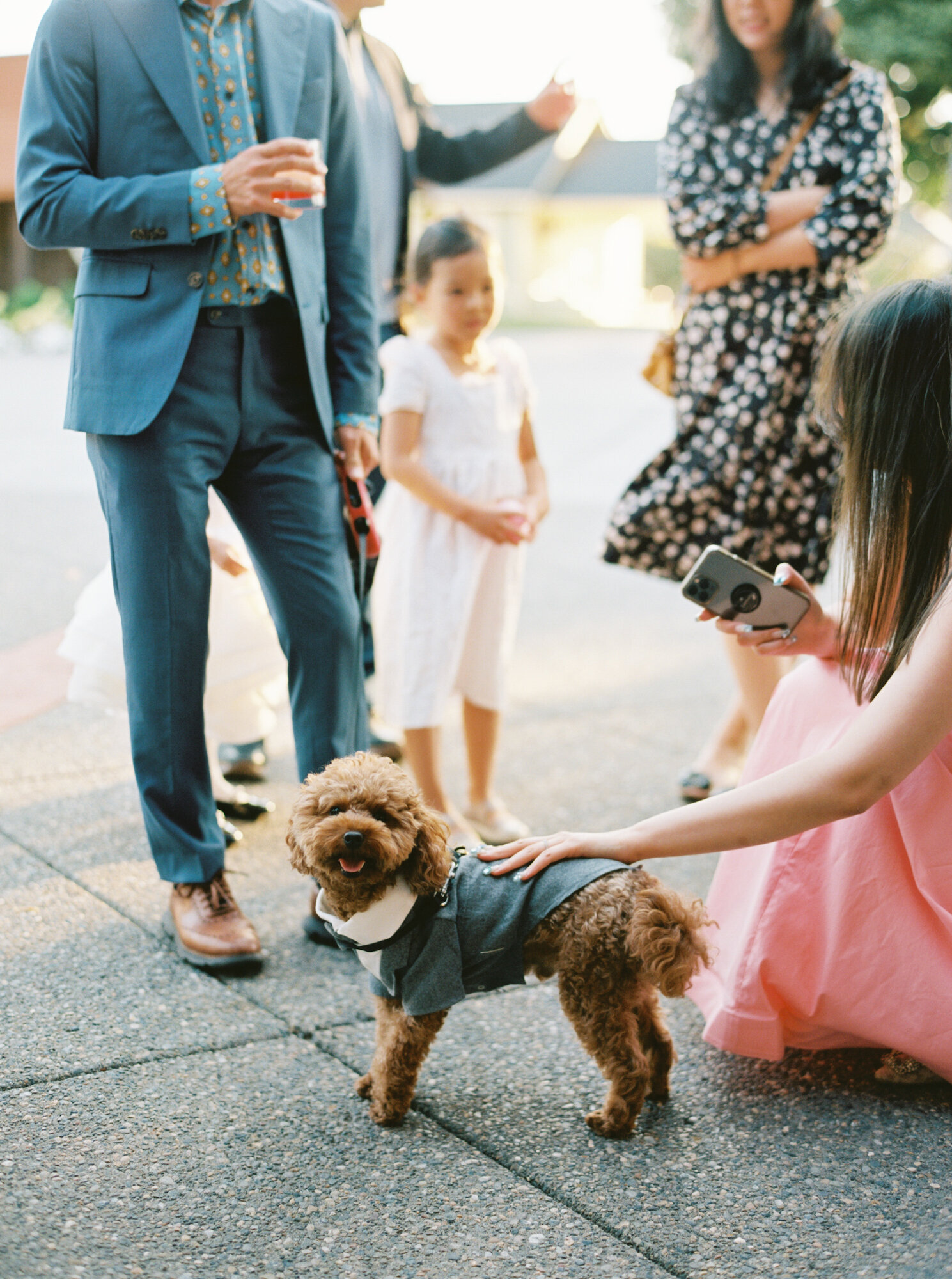 the-kelley-farm-wedding-photographer-dog