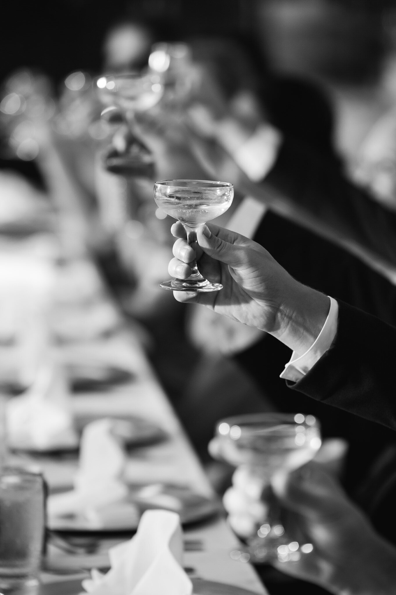 wedding guests raise their glasses to toast during a wedding reception