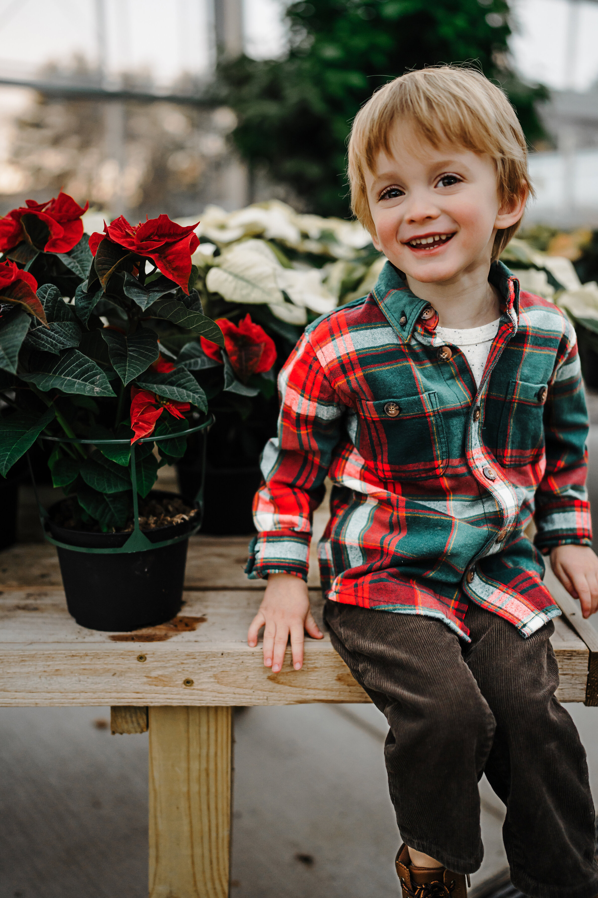 JWP_EggenFamily_11.11.2025__0202 copy