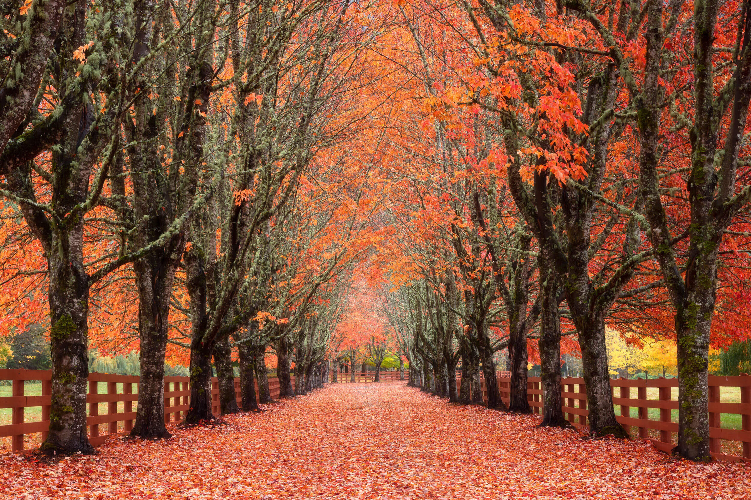 rockwood-farm-snoqualmie-fall-1
