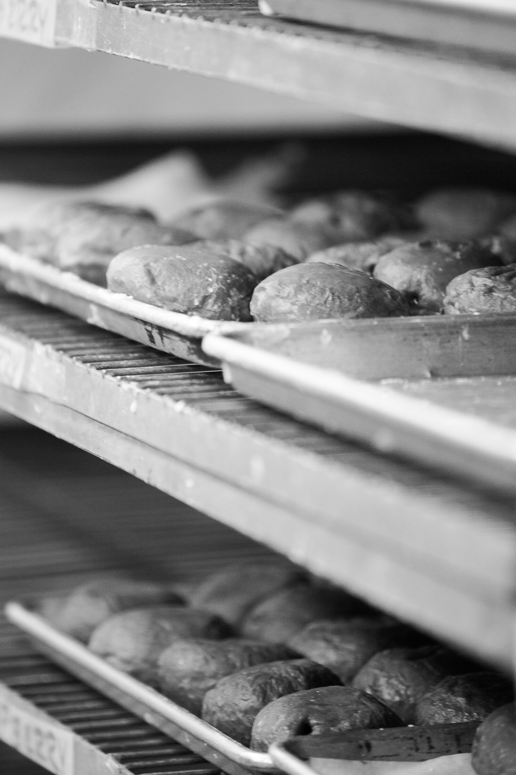 paczki6