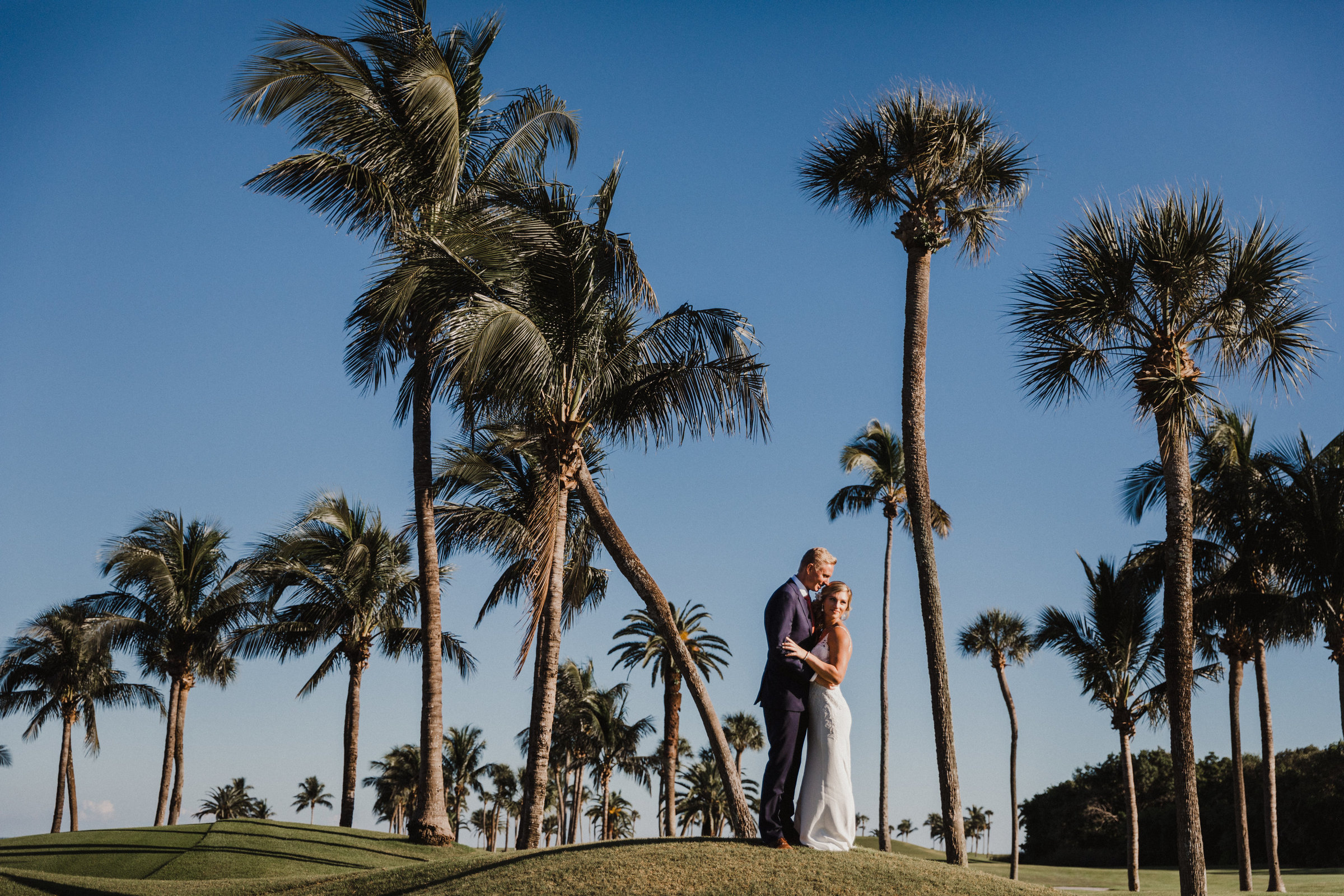 bride and groom embrace under the palm trees at Gasparilla Inn and Club golf course