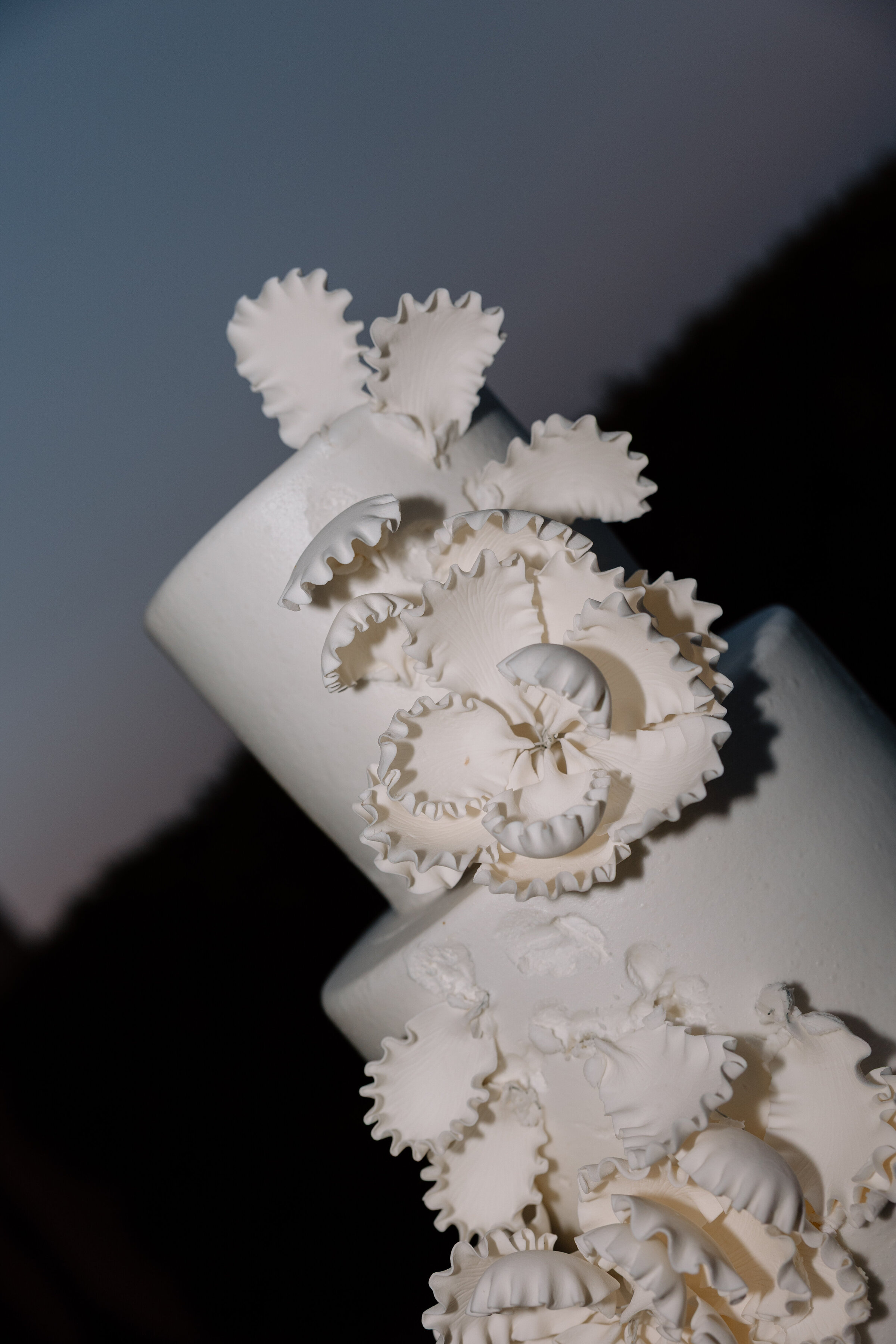BriBerryPhotography-3556