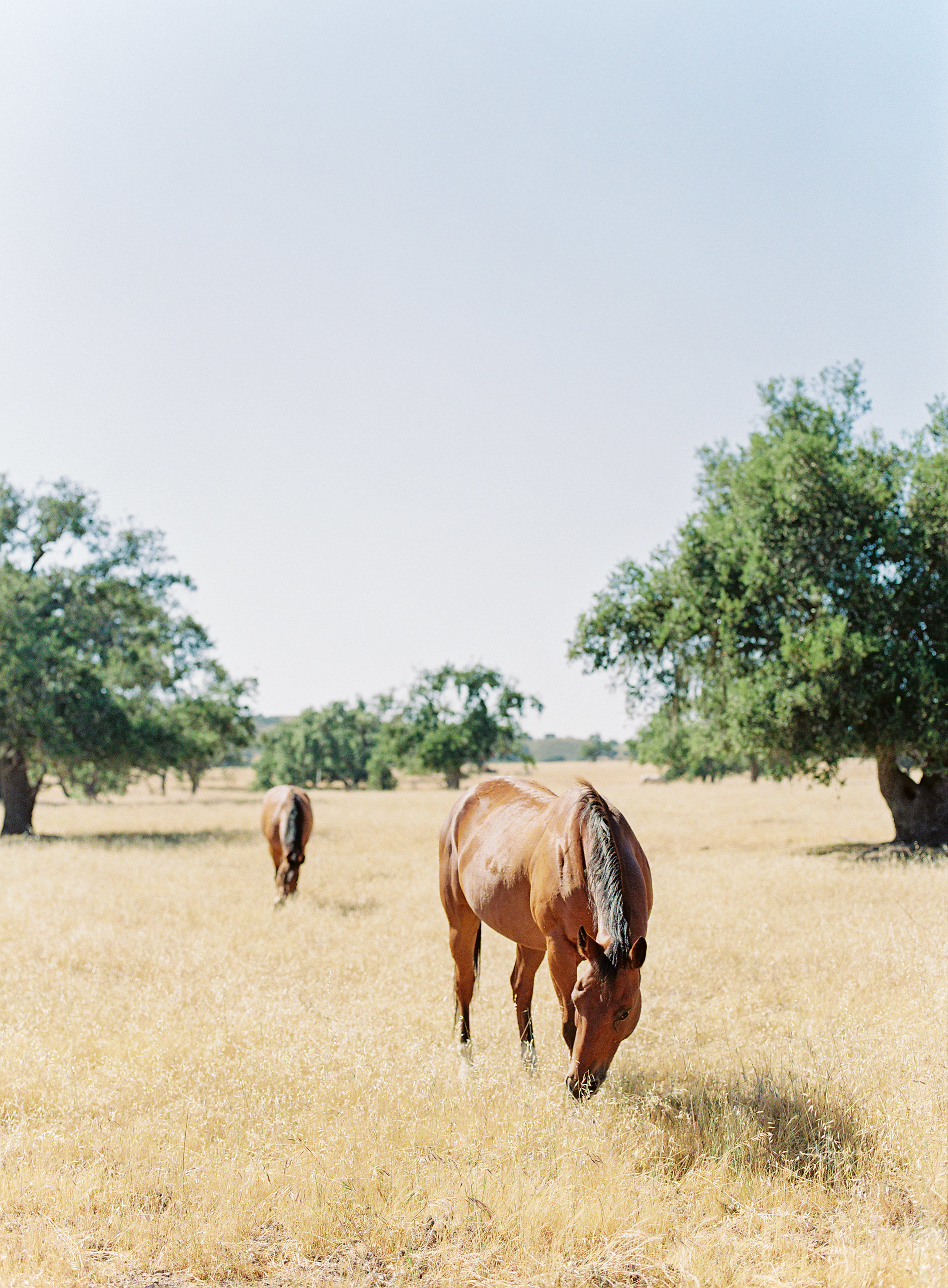 Ashleigh+Erik_FP-KalienKevin-1009