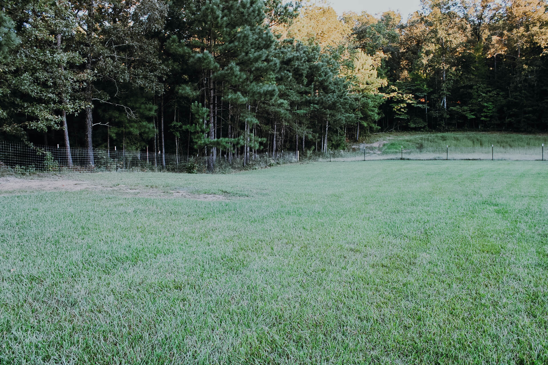 large-grassy-area-with-wire-fencing-along-treeline