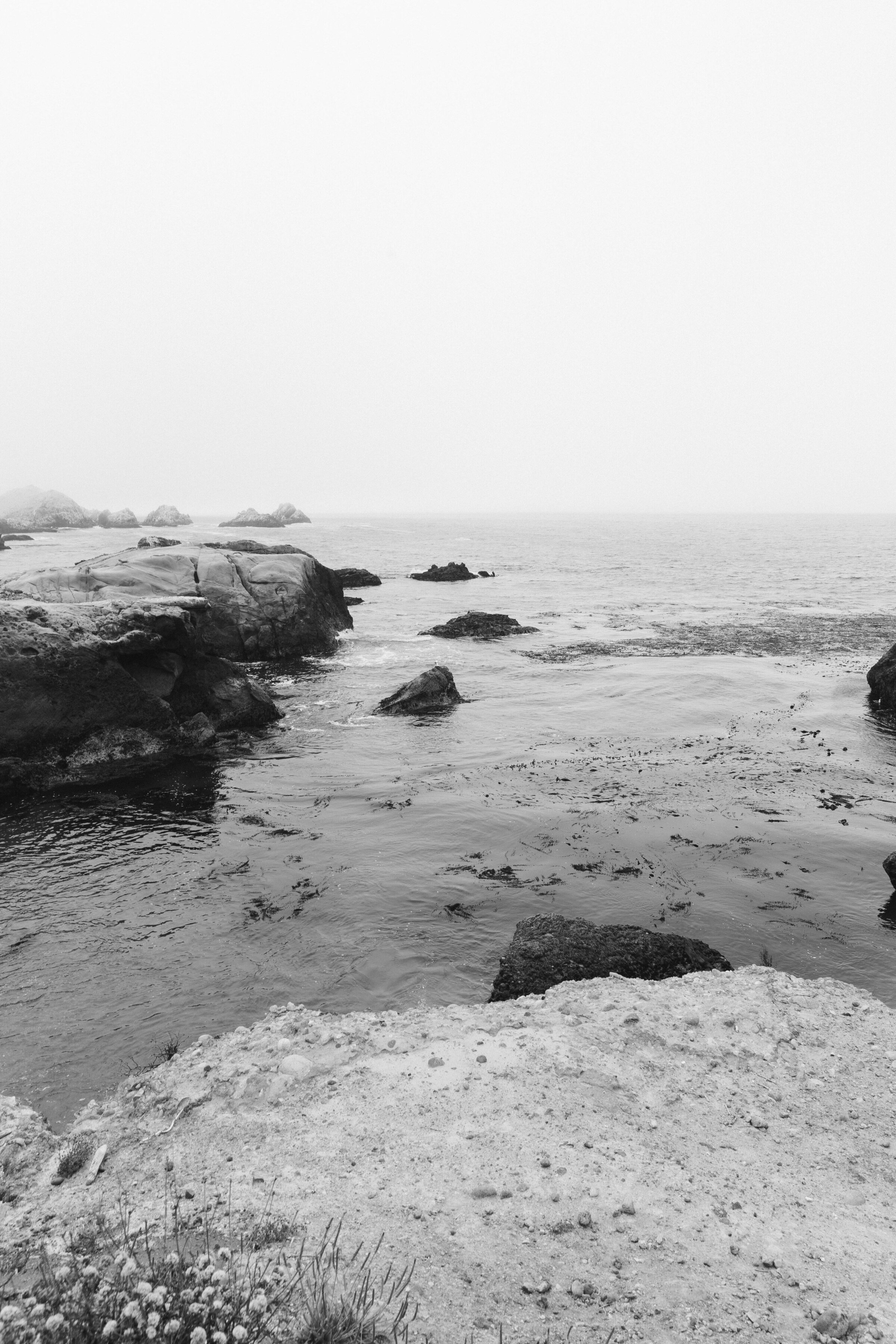 PointLobos_23-13