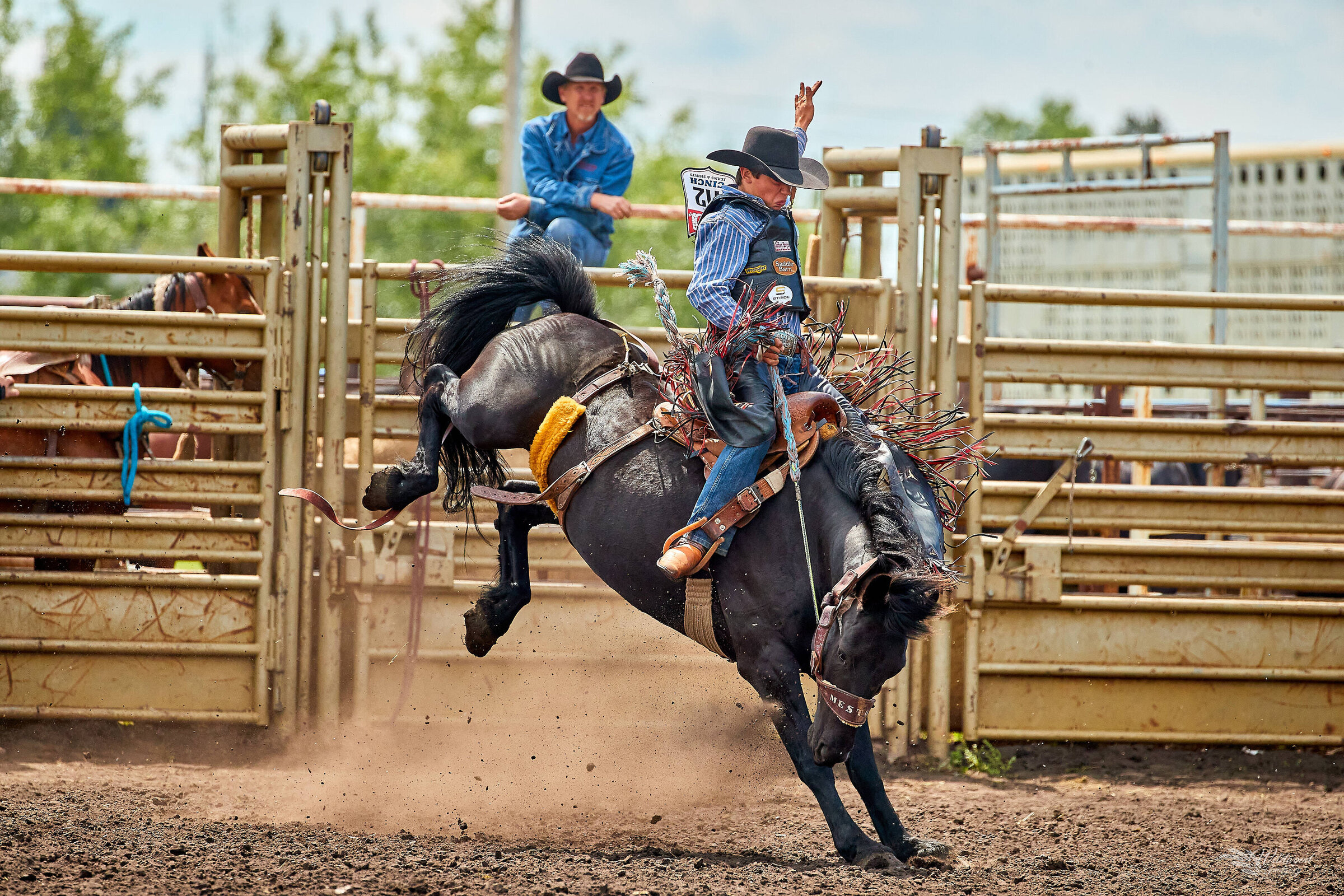 Rodeo & Events