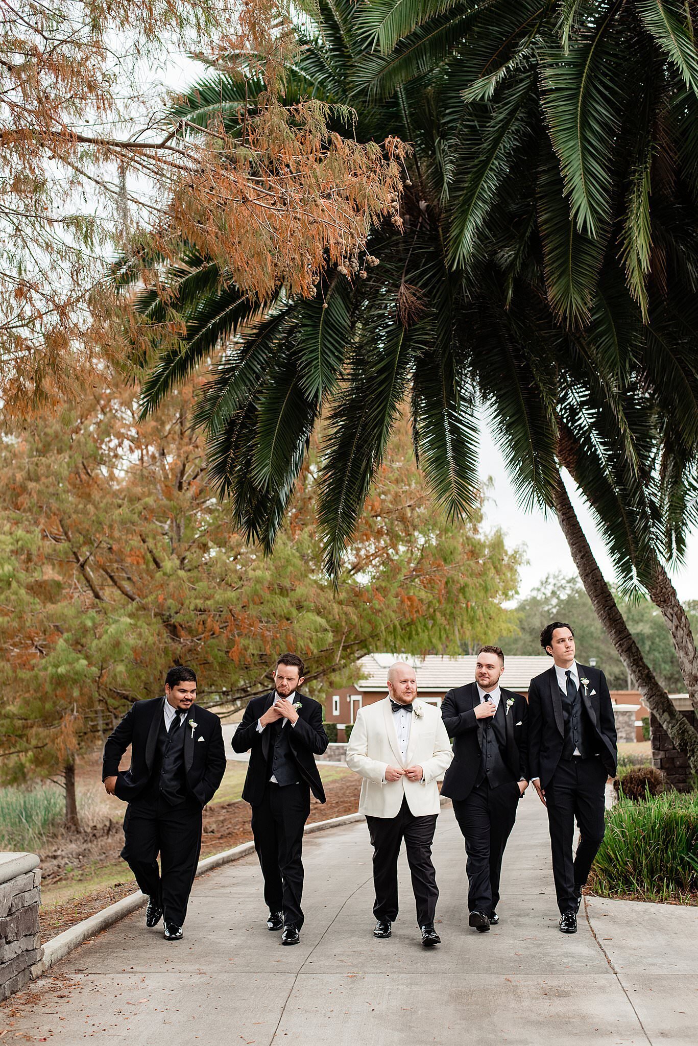 Groom in an ivory dinner jacket walking with his groomsmen who are wearing classic black tuxedos with palm trees around them