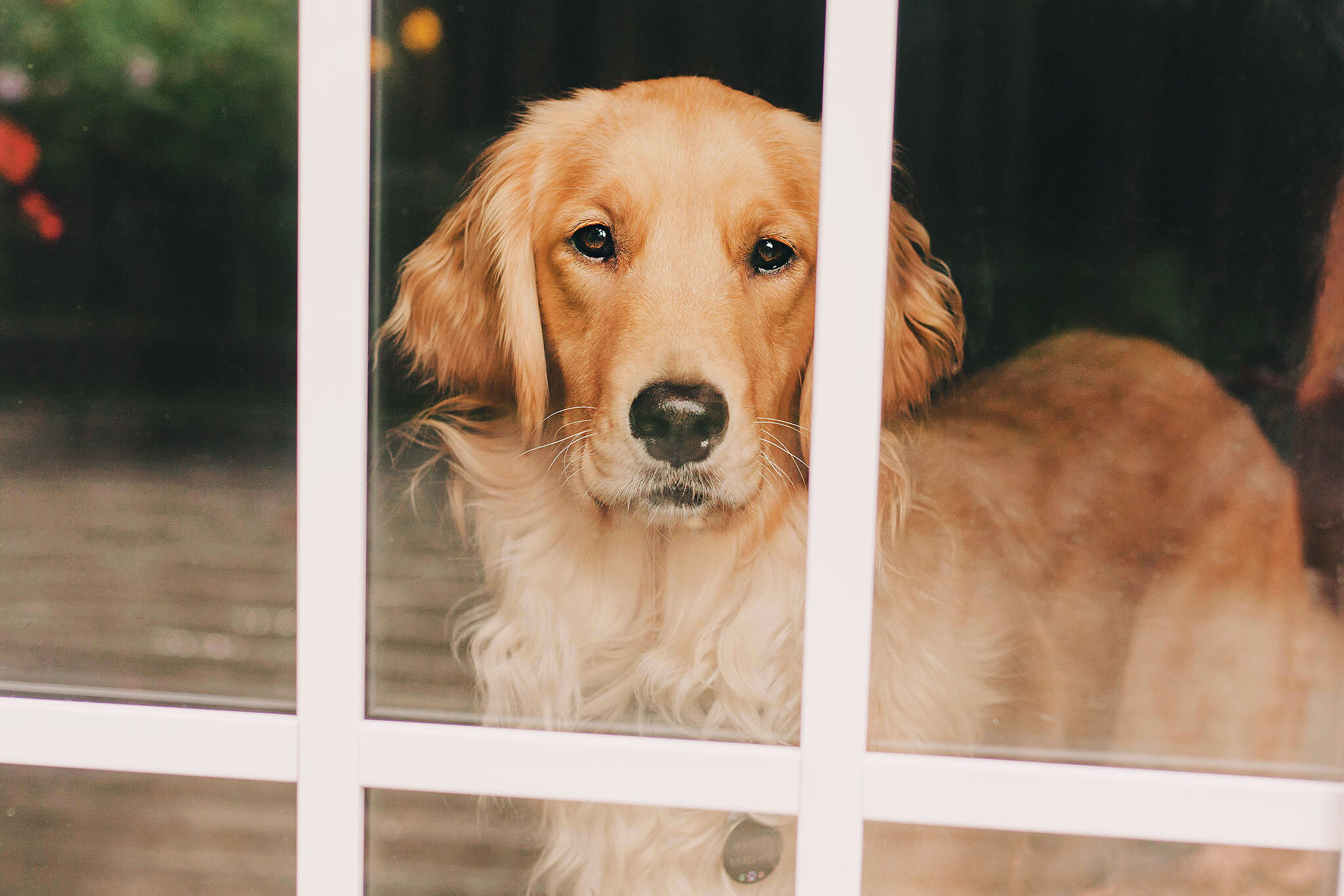 wrigley-portrait-2
