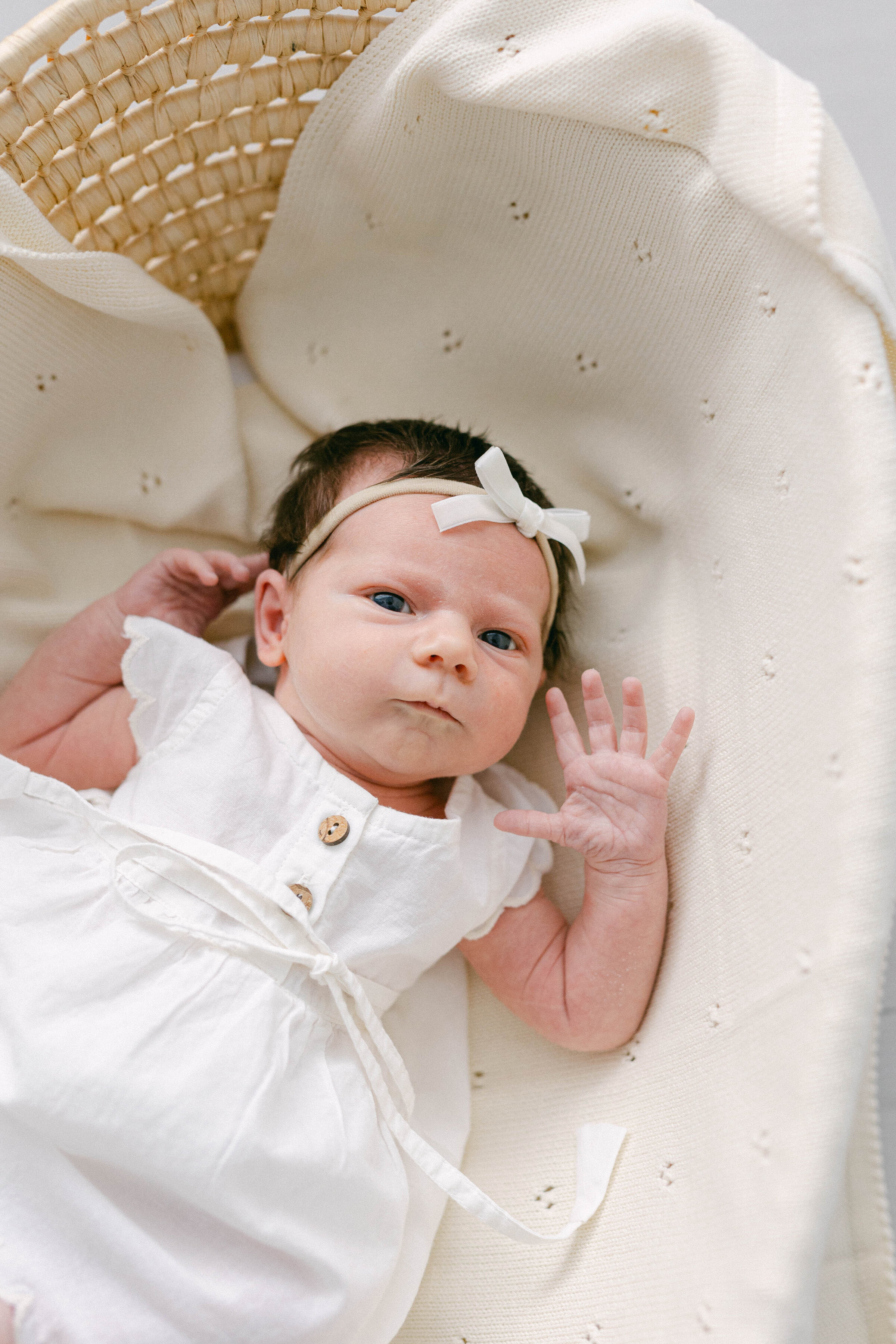 newborn laying in basket with blanket wearing a white dress and looking at camera  knoxville tennessee newborn photographer