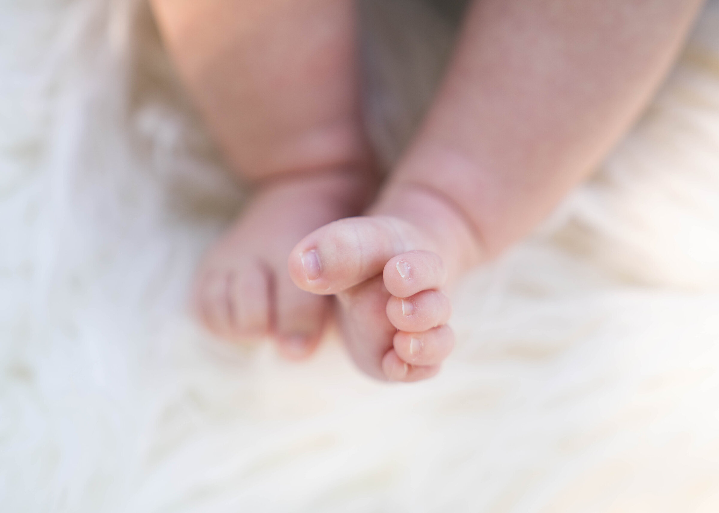 A photo of a baby's tiny toes